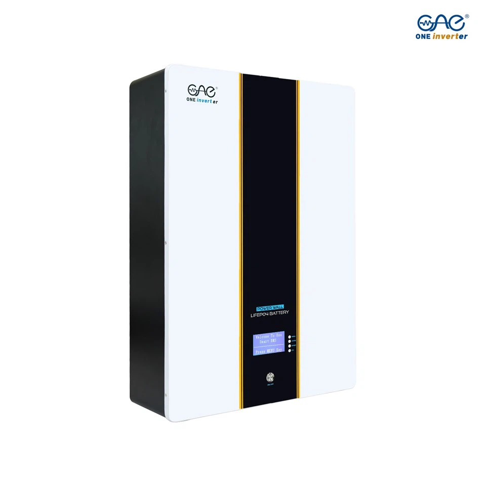 100AH 5KWH 51.2V Lifepo4 Battery