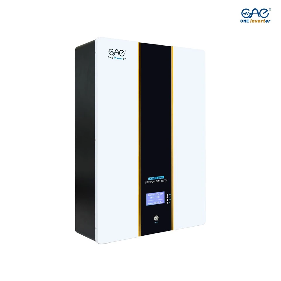 5KWH 100AH 51.2V Lifepo4 Battery