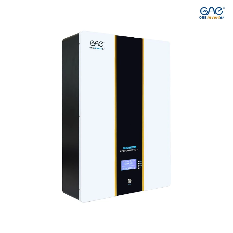 5KWH 100AH 51.2V Lifepo4 Battery