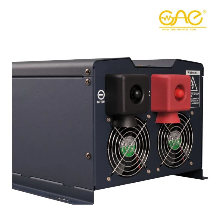 FSI 24-48VDC Hybid Solar Inverter For 6000W